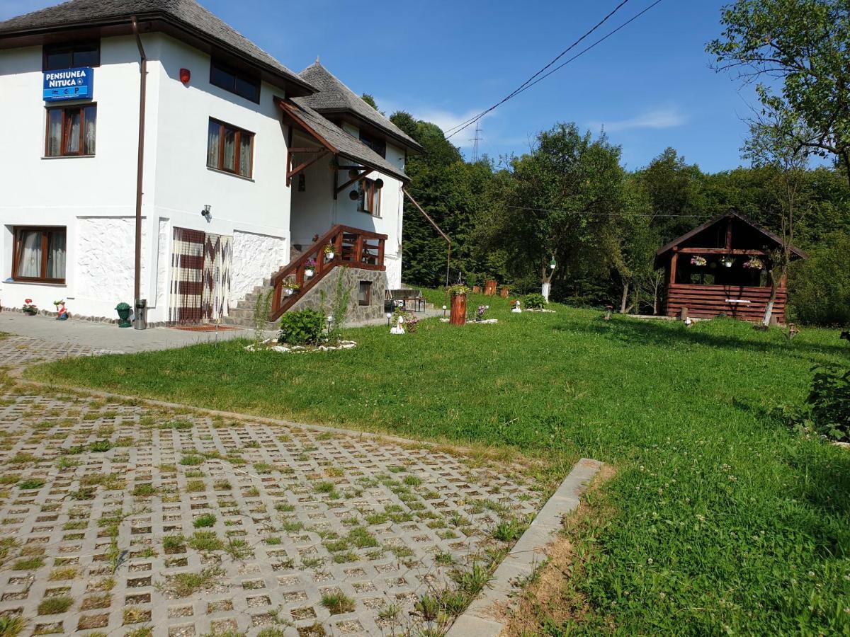 Pensiunea Nituca Majszin Kültér fotó
